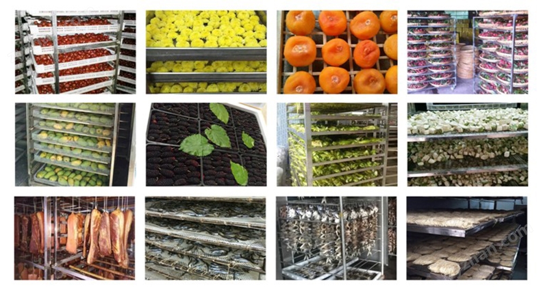 科技金融助力潮玩企业转型升级：星际动漫的成功故事