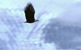 公司动态研究报告：核心技术突破驱动业绩增长新兴市场拓展打造新增长极